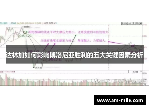 达林加如何影响博洛尼亚胜利的五大关键因素分析