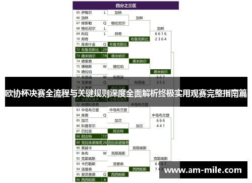欧协杯决赛全流程与关键规则深度全面解析终极实用观赛完整指南篇