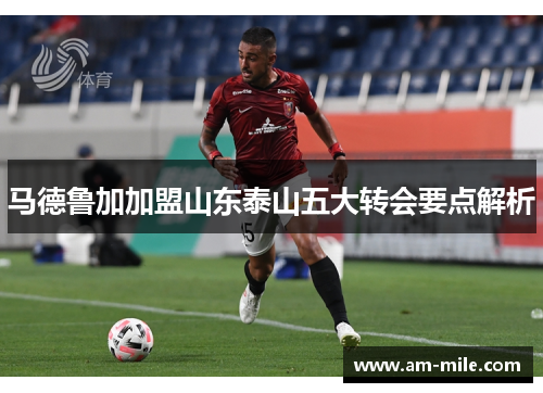 马德鲁加加盟山东泰山五大转会要点解析 马德鲁加加盟山东泰山五大转会要点解析