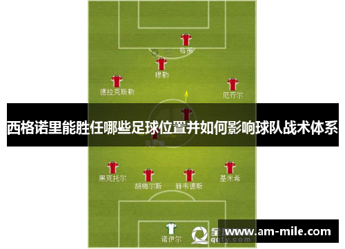 西格诺里能胜任哪些足球位置并如何影响球队战术体系