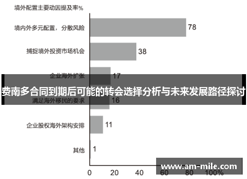 费南多合同到期后可能的转会选择分析与未来发展路径探讨