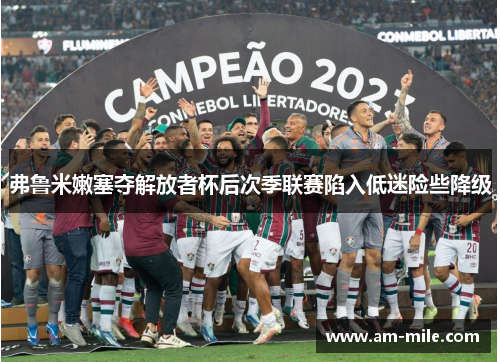 弗鲁米嫩塞夺解放者杯后次季联赛陷入低迷险些降级 弗鲁米嫩塞夺解放者杯后次季联赛陷入低迷险些降级