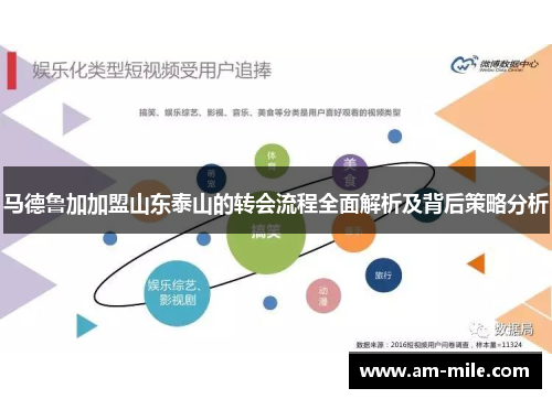 马德鲁加加盟山东泰山的转会流程全面解析及背后策略分析