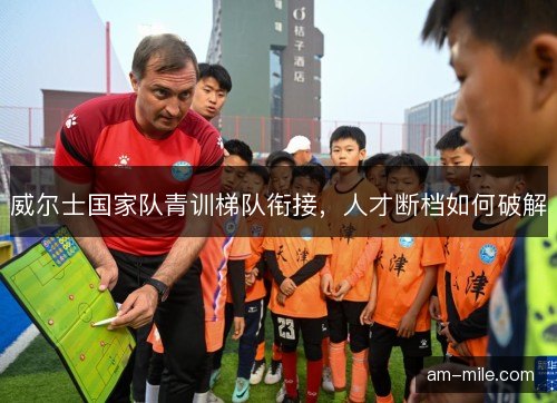 威尔士国家队青训梯队衔接，人才断档如何破解